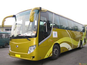 圖 客車 從濮陽到珠海直達(dá)汽車 發(fā)車時(shí)刻表 多久能到 多少錢 廣州租車